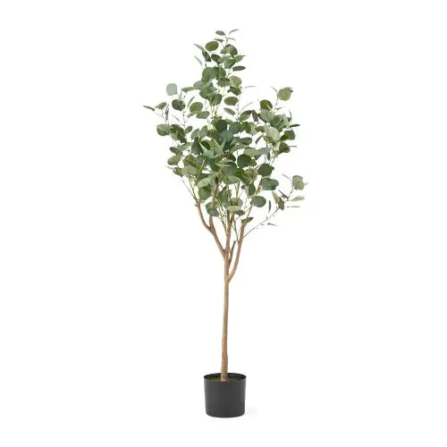 Evergreen Eucalyptus Spray – 150cm Artificial